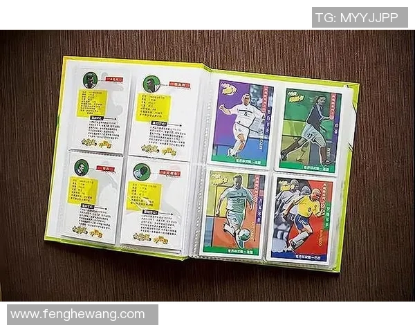 哪里购买帕尼尼足球球星卡最佳选择及购买途径推荐